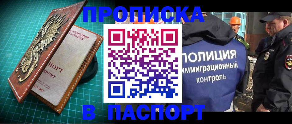 прописка в Сольцах