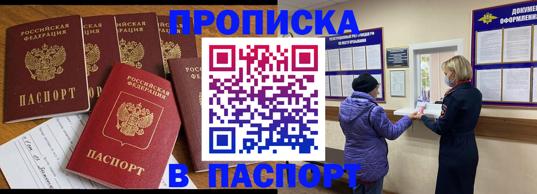 прописка 2025 в Сольцах